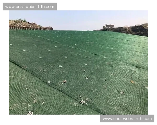 西安国际足球中心专业草坪维护，保障赛事高标准进行